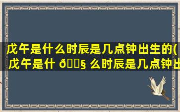 戊午是什么时辰是几点钟出生的(戊午是什 🐧 么时辰是几点钟出生的女孩)